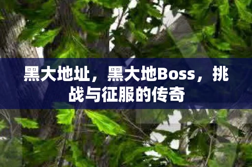 黑大地址,黑大地Boss,挑战与征服的传奇 黑大地址,黑大地Boss,挑战与征服的传奇