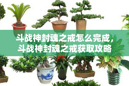 斗战神封魂之戒怎么完成,斗战神封魂之戒获取攻略 斗战神封魂之戒怎么完成,斗战神封魂之戒获取攻略