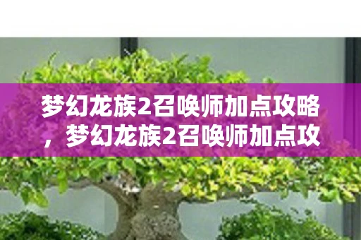 梦幻龙族2召唤师加点攻略，梦幻龙族2召唤师加点攻略