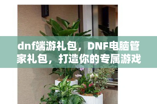 dnf端游礼包,DNF电脑管家礼包,打造你的专属游戏神器 dnf端游礼包,DNF电脑管家礼包,打造你的专属游戏神器