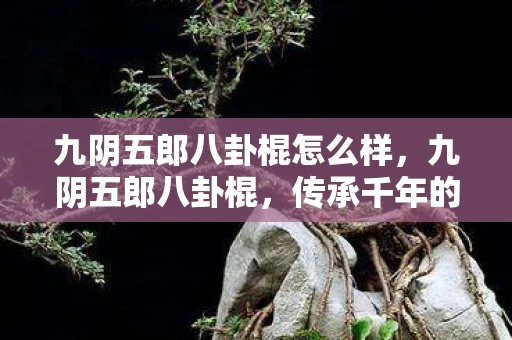 九阴五郎八卦棍怎么样，九阴五郎八卦棍，传承千年的武术瑰宝