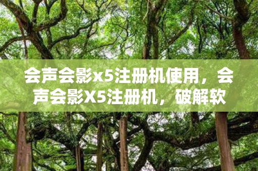 会声会影x5注册机使用,会声会影X5注册机,破解软件的风险与合法替代方案 会声会影x5注册机使用,会声会影X5注册机,破解软件的风险与合法替代方案