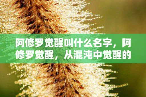 阿修罗觉醒叫什么名字,阿修罗觉醒,从混沌中觉醒的修罗之道 阿修罗觉醒叫什么名字,阿修罗觉醒,从混沌中觉醒的修罗之道