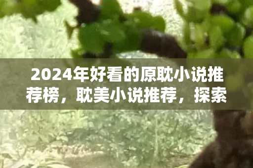 2024年好看的原耽小说推荐榜，耽美小说推荐，探索情感深处的温柔与美好