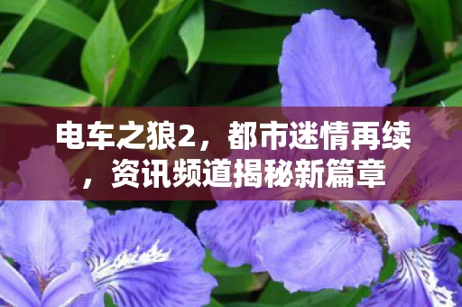 资讯频道揭秘新篇章图片