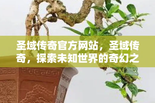 圣域传奇官方网站，圣域传奇，探索未知世界的奇幻之旅