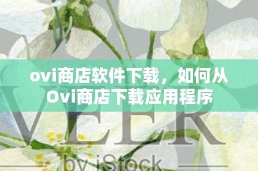 ovi商店软件下载，如何从Ovi商店下载应用程序
