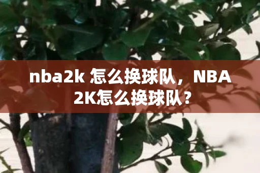 nba2k 怎么换球队，NBA 2K怎么换球队？