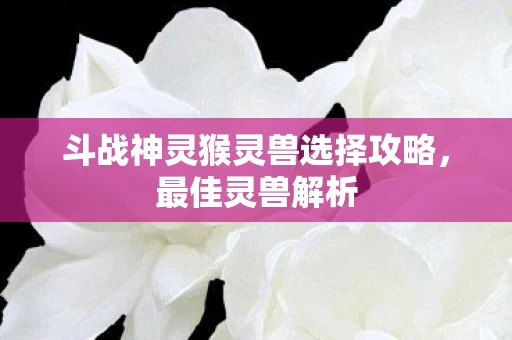 斗战神灵猴灵兽选择攻略图片