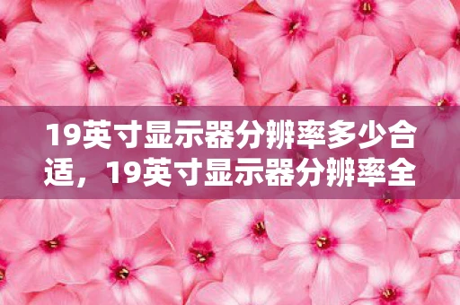 19英寸显示器分辨率多少合适,19英寸显示器分辨率全解析 19英寸显示器分辨率多少合适,19英寸显示器分辨率全解析
