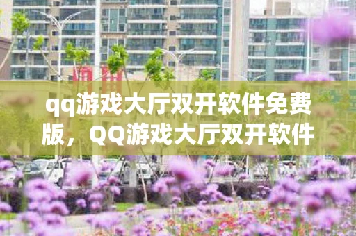 qq游戏大厅双开软件免费版，QQ游戏大厅双开软件，解锁游戏新体验，安全高效是关键