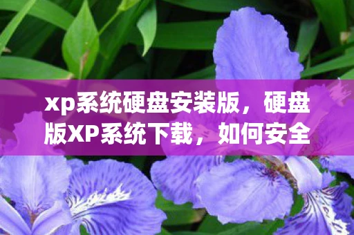 xp系统硬盘安装版,硬盘版XP系统下载,如何安全、合法获取经典操作系统 xp系统硬盘安装版,硬盘版XP系统下载,如何安全、合法获取经典操作系统