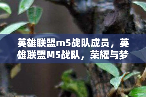 英雄联盟m5战队成员,英雄联盟M5战队,荣耀与梦想的征途 英雄联盟m5战队成员,英雄联盟M5战队,荣耀与梦想的征途