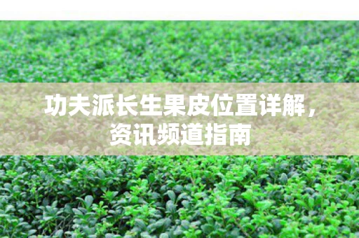 功夫派长生果皮位置详解图片