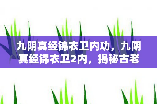九阴真经锦衣卫内功,九阴真经锦衣卫2内,揭秘古老武学与现代武侠的交融 九阴真经锦衣卫内功,九阴真经锦衣卫2内,揭秘古老武学与现代武侠的交融
