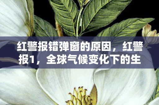 红警报错弹窗的原因,红警报1,全球气候变化下的生存挑战 红警报错弹窗的原因,红警报1,全球气候变化下的生存挑战