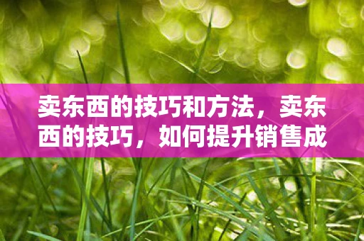 卖东西的技巧和方法,卖东西的技巧,如何提升销售成功率 卖东西的技巧和方法,卖东西的技巧,如何提升销售成功率