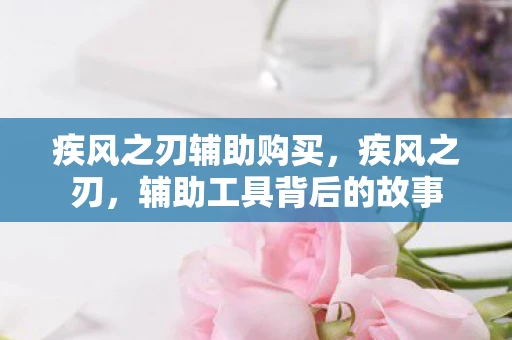 疾风之刃辅助购买，疾风之刃，辅助工具背后的故事