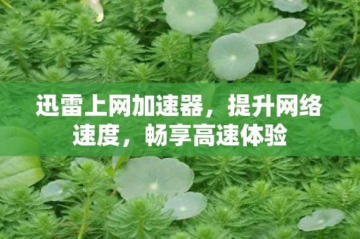 迅雷上网加速器,提升网络速度,畅享高速体验 迅雷上网加速器,提升网络速度,畅享高速体验
