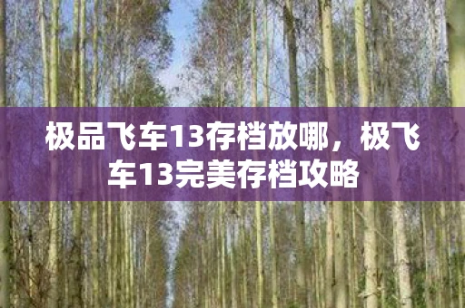 极品飞车13存档放哪，极飞车13完美存档攻略