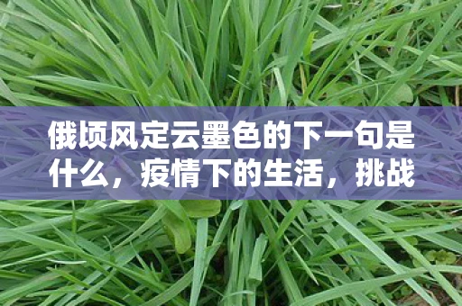 俄顷风定云墨色的下一句是什么，疫情下的生活，挑战与希望并存