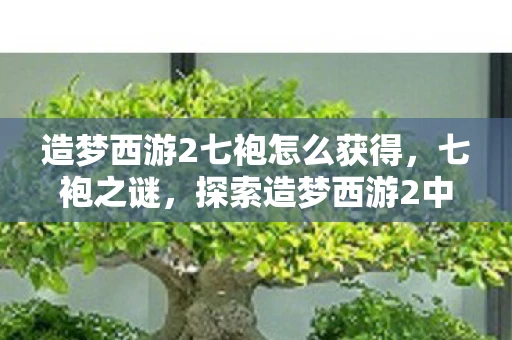 造梦西游2七袍怎么获得，七袍之谜，探索造梦西游2中的神秘传说