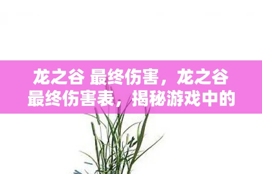 龙之谷 最终伤害,龙之谷最终伤害表,揭秘游戏中的伤害计算机制 龙之谷 最终伤害,龙之谷最终伤害表,揭秘游戏中的伤害计算机制