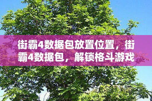 街霸4数据包放置位置,街霸4数据包,解锁格斗游戏的深层奥秘 街霸4数据包放置位置,街霸4数据包,解锁格斗游戏的深层奥秘
