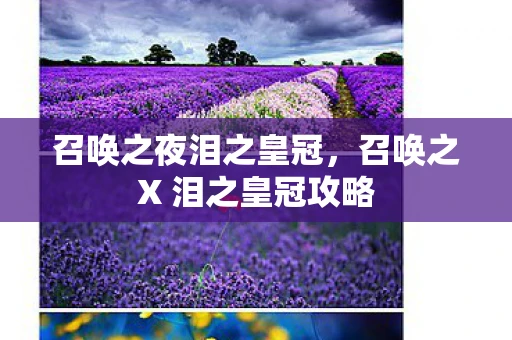 召唤之夜泪之皇冠,召唤之X 泪之皇冠攻略 召唤之夜泪之皇冠,召唤之X 泪之皇冠攻略