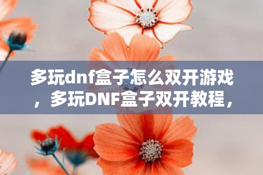 多玩dnf盒子怎么双开游戏,多玩DNF盒子双开教程,轻松实现游戏多开的秘诀 多玩dnf盒子怎么双开游戏,多玩DNF盒子双开教程,轻松实现游戏多开的秘诀