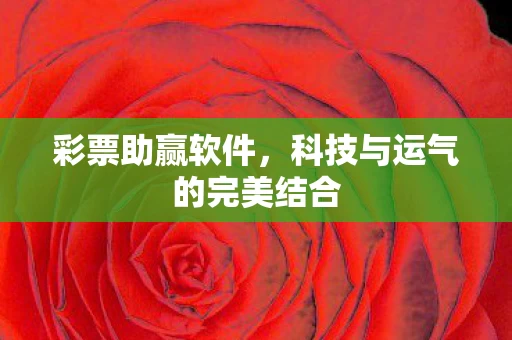 科技与运气的完美结合图片