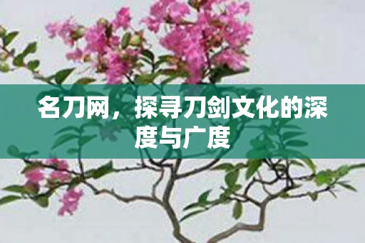 名刀网,探寻刀剑文化的深度与广度 名刀网,探寻刀剑文化的深度与广度