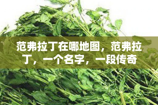 范弗拉丁在哪地图,范弗拉丁,一个名字,一段传奇 范弗拉丁在哪地图,范弗拉丁,一个名字,一段传奇
