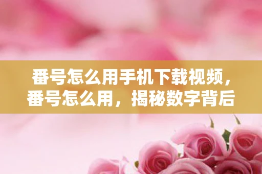 番号怎么用手机下载视频,番号怎么用,揭秘数字背后的秘密 番号怎么用手机下载视频,番号怎么用,揭秘数字背后的秘密
