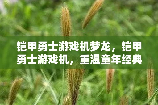 铠甲勇士游戏机梦龙,铠甲勇士游戏机,重温童年经典,重温热血战斗 铠甲勇士游戏机梦龙,铠甲勇士游戏机,重温童年经典,重温热血战斗