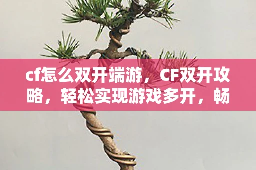cf怎么双开端游,CF双开攻略,轻松实现游戏多开,畅享双倍乐趣 cf怎么双开端游,CF双开攻略,轻松实现游戏多开,畅享双倍乐趣