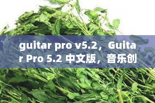 guitar pro v5.2,Guitar Pro 5.2 中文版,音乐创作与学习的得力助手 guitar pro v5.2,Guitar Pro 5.2 中文版,音乐创作与学习的得力助手