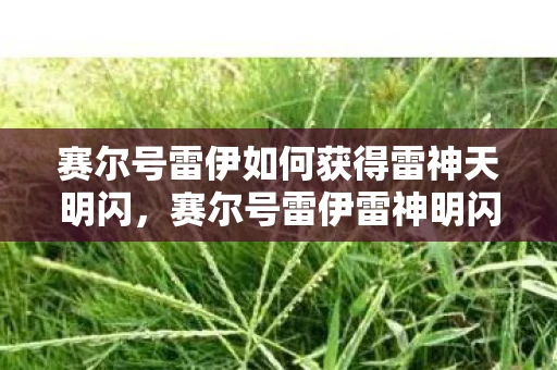 赛尔号雷伊如何获得雷神天明闪，赛尔号雷伊雷神明闪怎么学