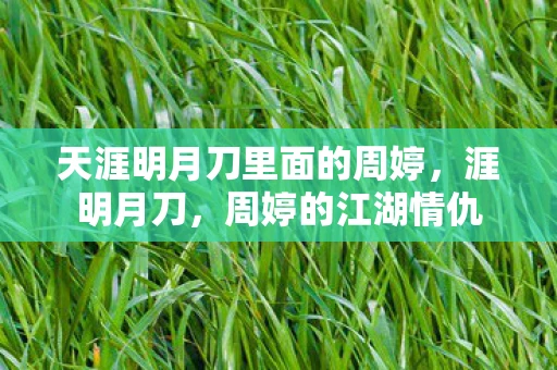 天涯明月刀里面的周婷，涯明月刀，周婷的江湖情仇