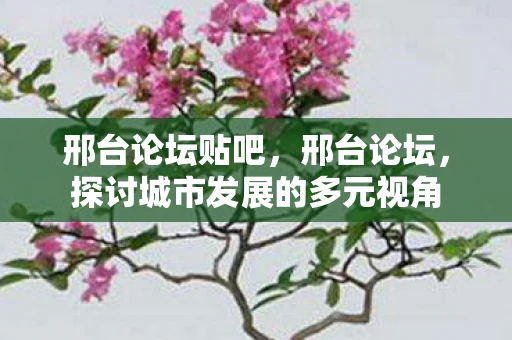 邢台论坛贴吧，邢台论坛，探讨城市发展的多元视角