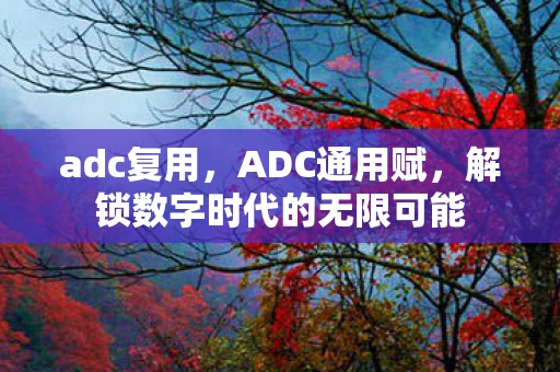 adc复用,ADC通用赋,解锁数字时代的无限可能 adc复用,ADC通用赋,解锁数字时代的无限可能