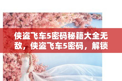 侠盗飞车5密码秘籍大全无敌，侠盗飞车5密码，解锁隐藏内容，探索游戏深层秘密