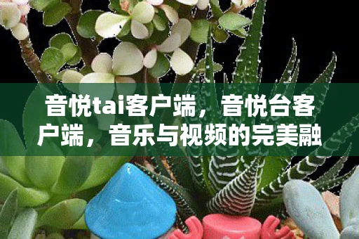 音悦tai客户端，音悦台客户端，音乐与视频的完美融合