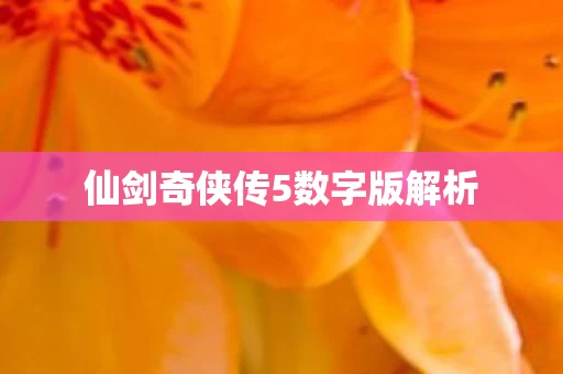 仙剑奇侠传5数字版解析图片