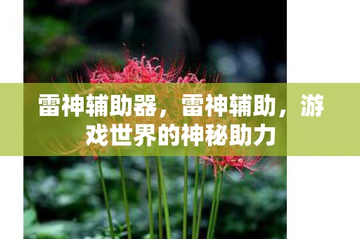 雷神辅助器，雷神辅助，游戏世界的神秘助力