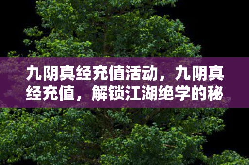 九阴真经充值活动,九阴真经充值,解锁江湖绝学的秘密 九阴真经充值活动,九阴真经充值,解锁江湖绝学的秘密