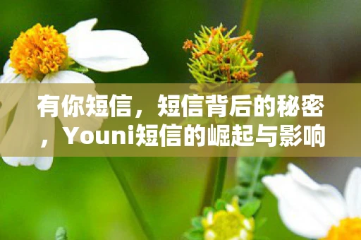 有你短信,短信背后的秘密,Youni短信的崛起与影响 有你短信,短信背后的秘密,Youni短信的崛起与影响
