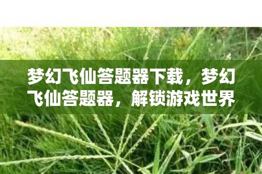 梦幻飞仙答题器下载,梦幻飞仙答题器,解锁游戏世界的智慧钥匙 梦幻飞仙答题器下载,梦幻飞仙答题器,解锁游戏世界的智慧钥匙