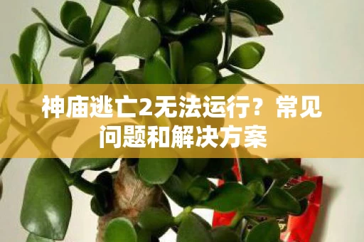 神庙逃亡2无法运行图片