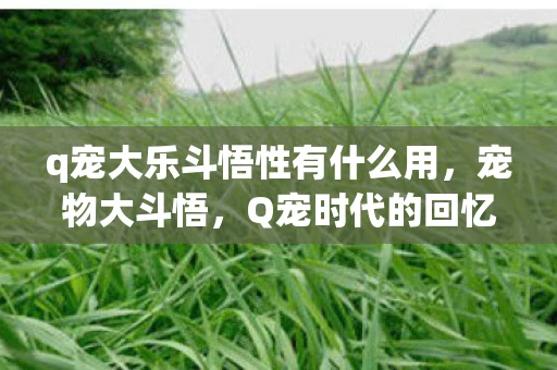 q宠大乐斗悟性有什么用,宠物大斗悟,Q宠时代的回忆与启示 q宠大乐斗悟性有什么用,宠物大斗悟,Q宠时代的回忆与启示